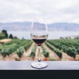 Image for “I’ll Have the B.C. VQA, Sub-GI Certified Pinot” — Promoting B.C. Wines Through Legal Recognition of Our Unique Wine Regions