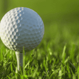 Image for Hole in one – MLT Aikins supports the Golf Dome in its sale to a private purchaser