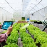 Image for MLT Aikins and EMILI collaborate to advance agricultural innovation  